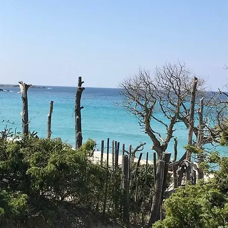 Au Pied Des Oliviers Bed & Breakfast Calenzana