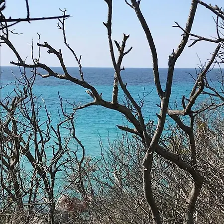 Au Pied Des Oliviers Panzió Calenzana