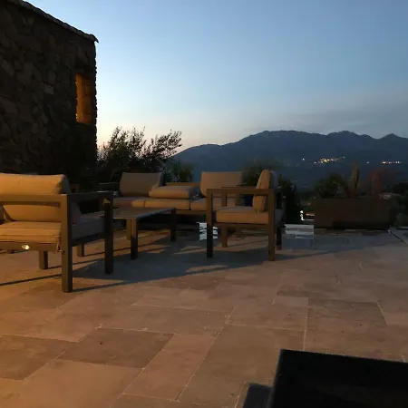 Au Pied Des Oliviers