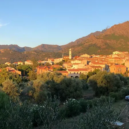 Au Pied Des Oliviers Calenzana