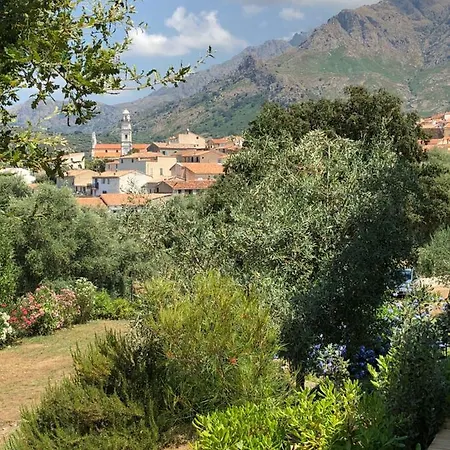 Au Pied Des Oliviers 3* Calenzana