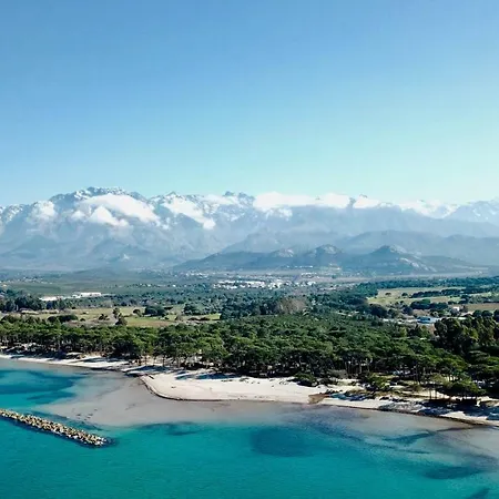 Au Pied Des Oliviers 3* Calenzana