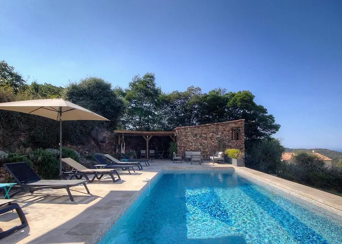 Couette-café Au Pied Des Oliviers