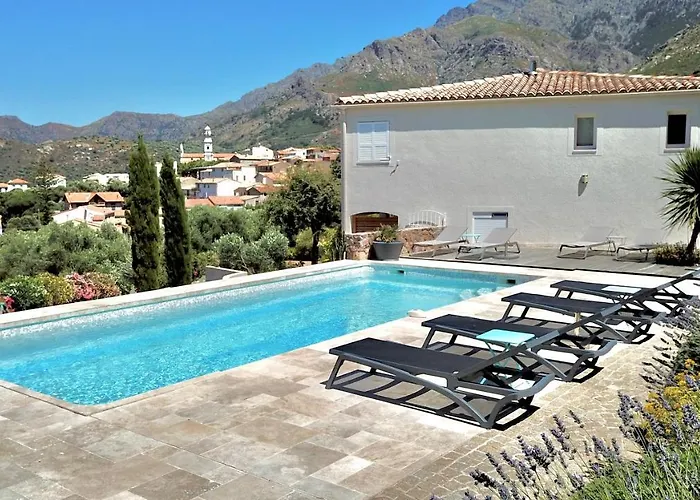 Couette-café Au Pied Des Oliviers Calenzana