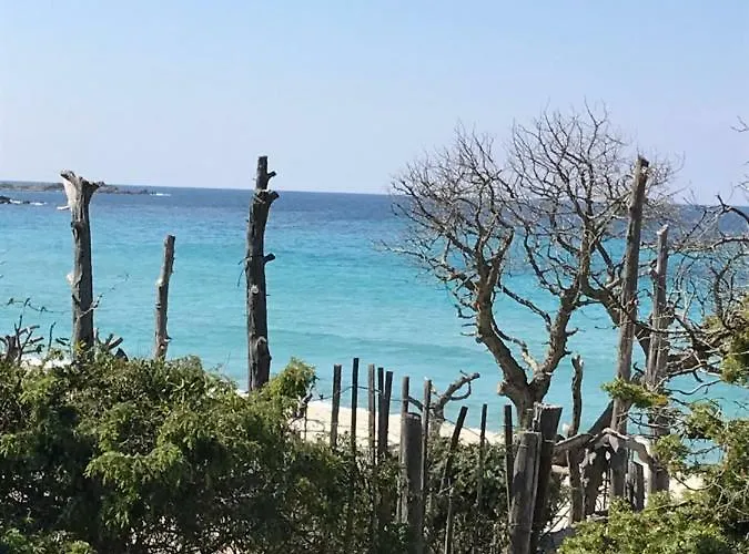 Au Pied Des Oliviers Bed & Breakfast Calenzana