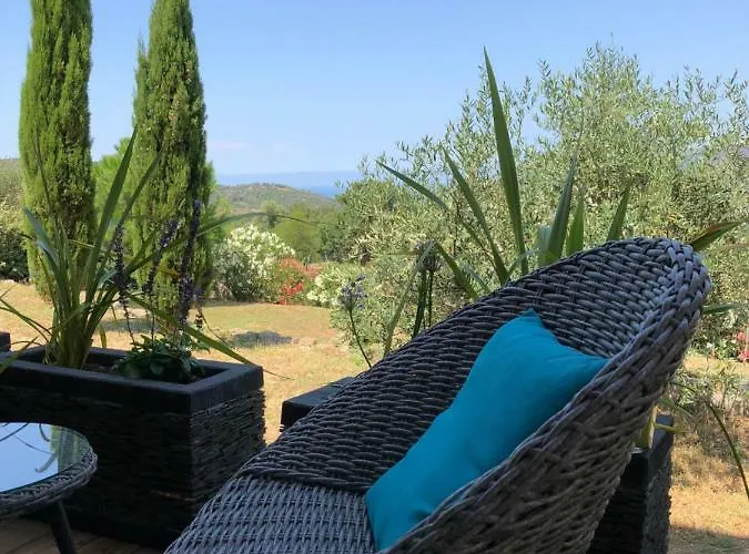 Au Pied Des Oliviers Couette-café Calenzana