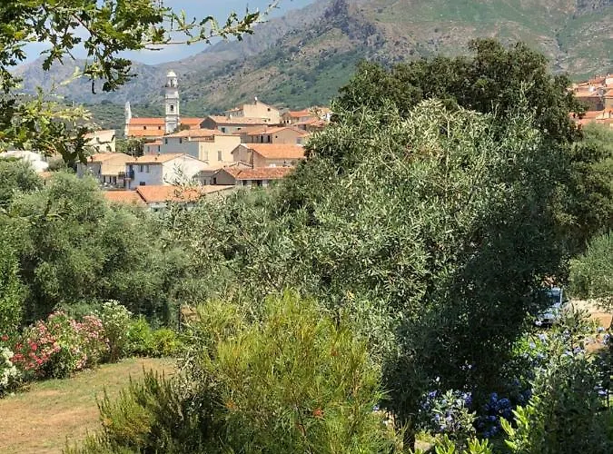 Au Pied Des Oliviers 3* Calenzana