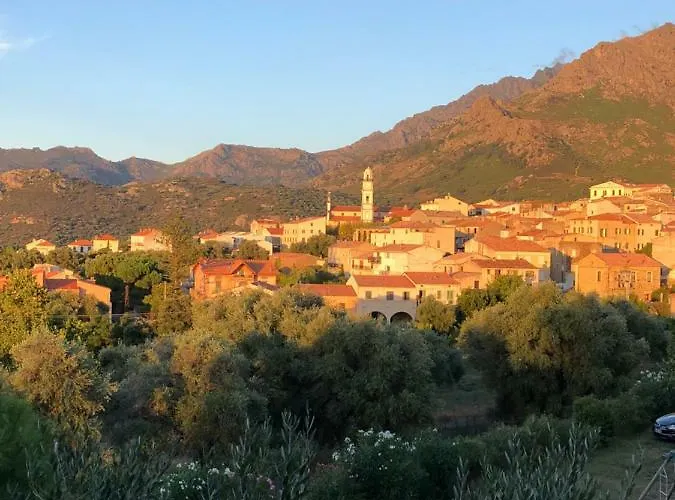 Au Pied Des Oliviers Calenzana