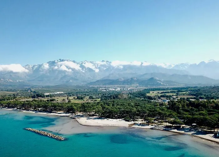 Au Pied Des Oliviers 3* Calenzana